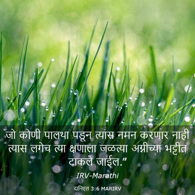 Picture 03 - दानिएल 3:6 MARIRV - जो कोणी पालथा पडून - Bible Verse Picture