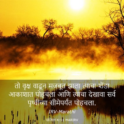 Picture 03 - दानिएल 4:11 MARIRV - तो वृक्ष वाढून - Bible Verse Picture