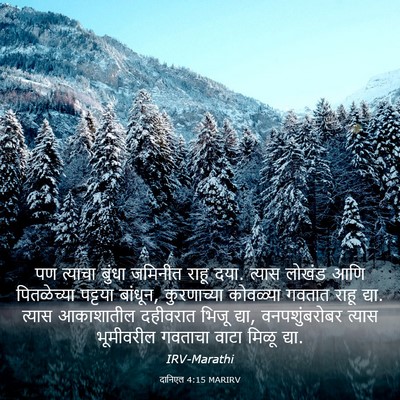 Picture 03 - दानिएल 4:15 MARIRV - पण त्याचा बुंधा - Bible Verse Picture