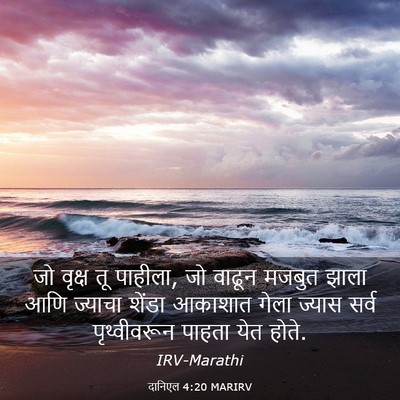 Picture 03 - दानिएल 4:20 MARIRV - जो वृक्ष तू पाहीला, - Bible Verse Picture