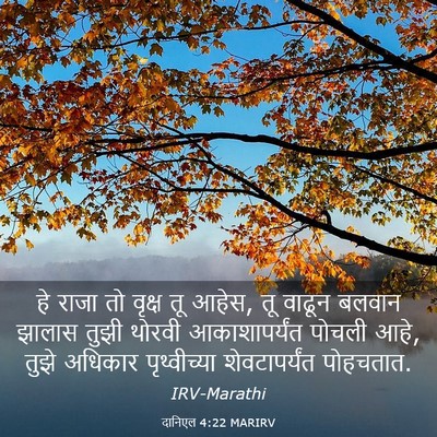Picture 03 - दानिएल 4:22 MARIRV - हे राजा तो वृक्ष तू - Bible Verse Picture