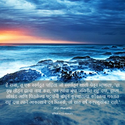 Picture 03 - दानिएल 4:23 MARIRV - हे राजा, तू एक - Bible Verse Picture