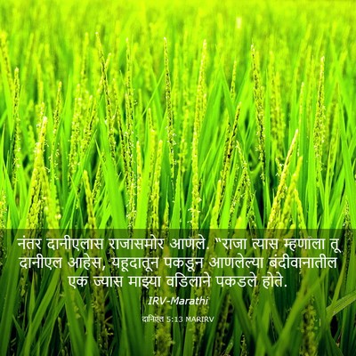 Picture 03 - दानिएल 5:13 MARIRV - नंतर दानीएलास - Bible Verse Picture