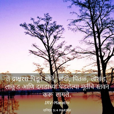 Picture 03 - दानिएल 5:4 MARIRV - ते द्राक्षरस - Bible Verse Picture