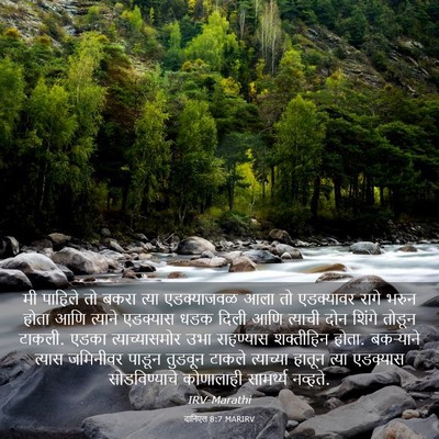 Picture 03 - दानिएल 8:7 MARIRV - मी पाहिले तो बकरा - Bible Verse Picture