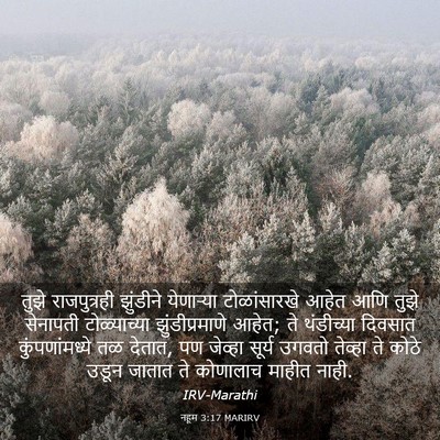 Picture 03 - नहूम 3:17 MARIRV - तुझे राजपुत्रही - Bible Verse Picture