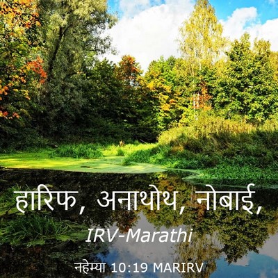 Picture 03 - नहेम्या 10:19 MARIRV - हारिफ, अनाथोथ, - Bible Verse Picture