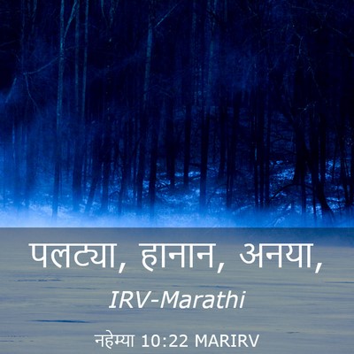 Picture 03 - नहेम्या 10:22 MARIRV - पलट्या, हानान, - Bible Verse Picture
