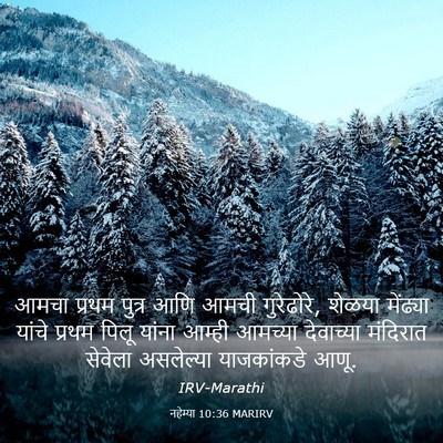 Picture 03 - नहेम्या 10:36 MARIRV - आमचा प्रथम पुत्र - Bible Verse Picture