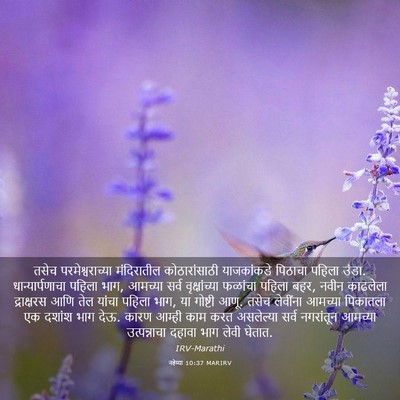 Picture 03 - नहेम्या 10:37 MARIRV - तसेच - Bible Verse Picture