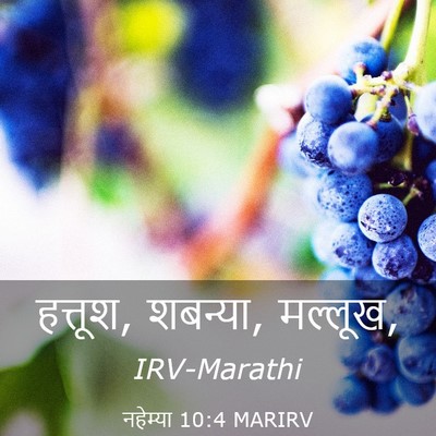 Picture 03 - नहेम्या 10:4 MARIRV - हत्तूश, शबन्या, - Bible Verse Picture