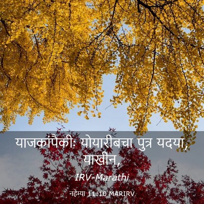 Picture 03 - नहेम्या 11:10 MARIRV - याजकांपैकीः - Bible Verse Picture