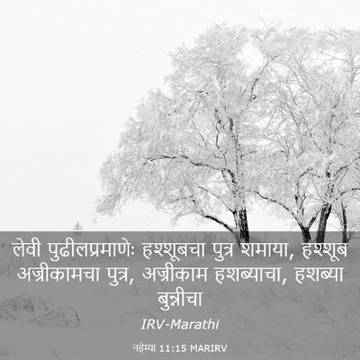 Picture 03 - नहेम्या 11:15 MARIRV - लेवी - Bible Verse Picture