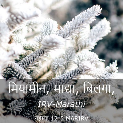 Picture 03 - नहेम्या 12:5 MARIRV - मियामीन, माद्या, - Bible Verse Picture