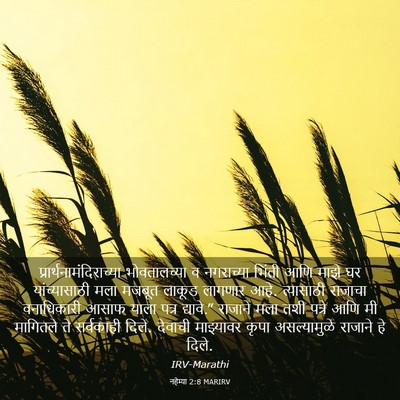 Picture 03 - नहेम्या 2:8 MARIRV -  - Bible Verse Picture