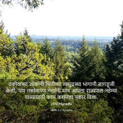 Picture 03 - नहेम्या 3:5 MARIRV - तकोवाच्या लोकांनी - Bible Verse Picture
