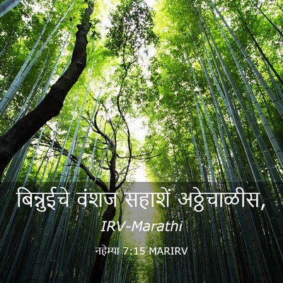 Picture 03 - नहेम्या 7:15 MARIRV - बिन्नुईचे वंशज - Bible Verse Picture