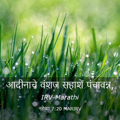Picture 03 - नहेम्या 7:20 MARIRV - आदीनाचे वंशज - Bible Verse Picture