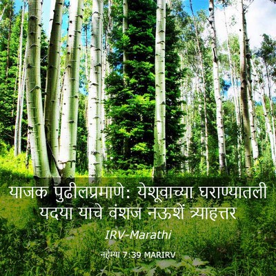 Picture 03 - नहेम्या 7:39 MARIRV - याजक - Bible Verse Picture