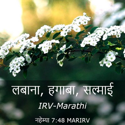 Picture 03 - नहेम्या 7:48 MARIRV - लबाना, हगाबा, - Bible Verse Picture