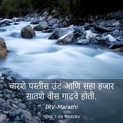 Picture 03 - नहेम्या 7:69 MARIRV - चारशे पस्तीस उंट - Bible Verse Picture