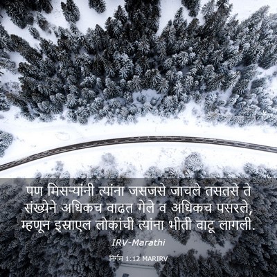 Picture 03 - निर्गम 1:12 MARIRV - पण मिसऱ्यांनी - Bible Verse Picture