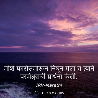 Picture 03 - निर्गम 10:18 MARIRV - मोशे फारोसमोरून - Bible Verse Picture