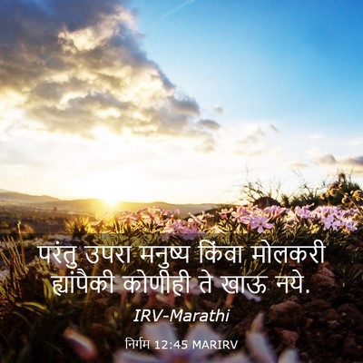 Picture 03 - निर्गम 12:45 MARIRV - परंतु उपरा मनुष्य - Bible Verse Picture
