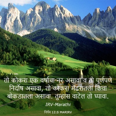 Picture 03 - निर्गम 12:5 MARIRV - तो कोकरा एक - Bible Verse Picture