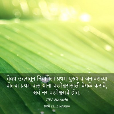 Picture 03 - निर्गम 13:12 MARIRV - तेव्हा उदरातून - Bible Verse Picture