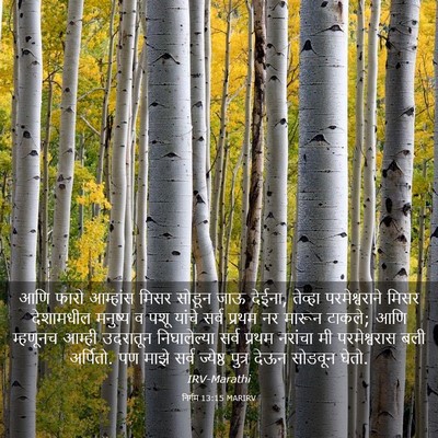 Picture 03 - निर्गम 13:15 MARIRV - आणि फारो आम्हांस - Bible Verse Picture