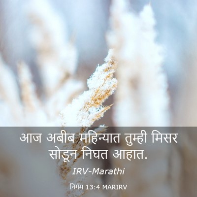 Picture 03 - निर्गम 13:4 MARIRV - आज अबीब महिन्यात - Bible Verse Picture