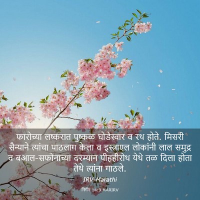 Picture 03 - निर्गम 14:9 MARIRV - फारोच्या लष्करात - Bible Verse Picture