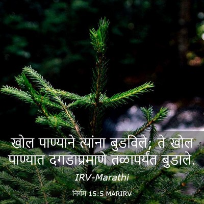 Picture 03 - निर्गम 15:5 MARIRV - खोल पाण्याने - Bible Verse Picture