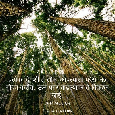 Picture 03 - निर्गम 16:21 MARIRV - प्रत्येक दिवशी ते - Bible Verse Picture