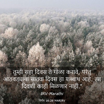Picture 03 - निर्गम 16:26 MARIRV - तुम्ही सहा दिवस ते - Bible Verse Picture