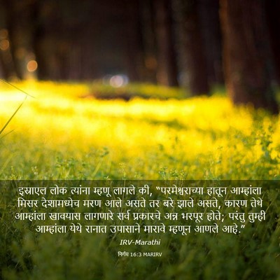 Picture 03 - निर्गम 16:3 MARIRV - इस्राएल लोक - Bible Verse Picture