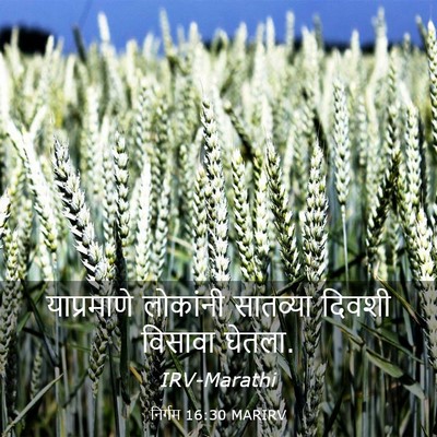 Picture 03 - निर्गम 16:30 MARIRV - याप्रमाणे लोकांनी - Bible Verse Picture