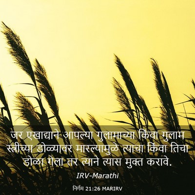 Picture 03 - निर्गम 21:26 MARIRV - जर एखाद्याने - Bible Verse Picture