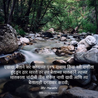 Picture 03 - निर्गम 21:32 MARIRV - एखाद्या बैलाने जर - Bible Verse Picture