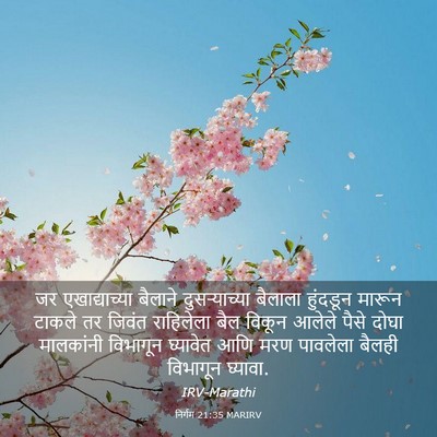 Picture 03 - निर्गम 21:35 MARIRV - जर एखाद्याच्या - Bible Verse Picture