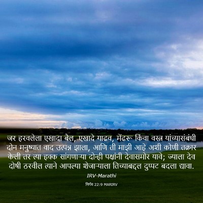 Picture 03 - निर्गम 22:9 MARIRV - जर हरवलेला एखादा - Bible Verse Picture