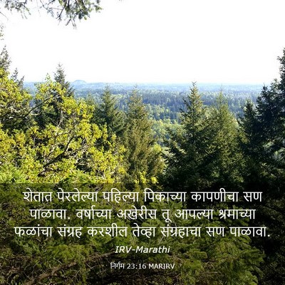 Picture 03 - निर्गम 23:16 MARIRV - शेतात पेरलेल्या - Bible Verse Picture