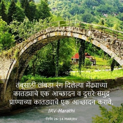 Picture 03 - निर्गम 26:14 MARIRV - तंबूसाठी तांबडा - Bible Verse Picture