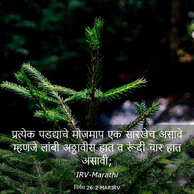 Picture 03 - निर्गम 26:2 MARIRV - प्रत्येक पडद्याचे - Bible Verse Picture