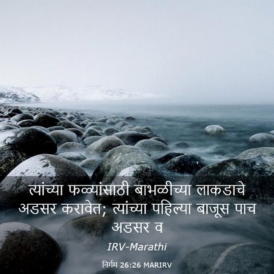 Picture 03 - निर्गम 26:26 MARIRV - त्यांच्या - Bible Verse Picture