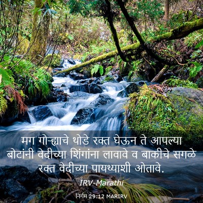 Picture 03 - निर्गम 29:12 MARIRV - मग गोऱ्ह्याचे - Bible Verse Picture
