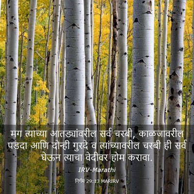 Picture 03 - निर्गम 29:13 MARIRV - मग त्याच्या - Bible Verse Picture