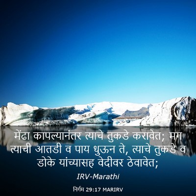 Picture 03 - निर्गम 29:17 MARIRV - मेंढा कापल्यानंतर - Bible Verse Picture