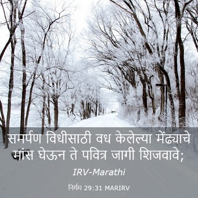 Picture 03 - निर्गम 29:31 MARIRV - समर्पण विधीसाठी - Bible Verse Picture